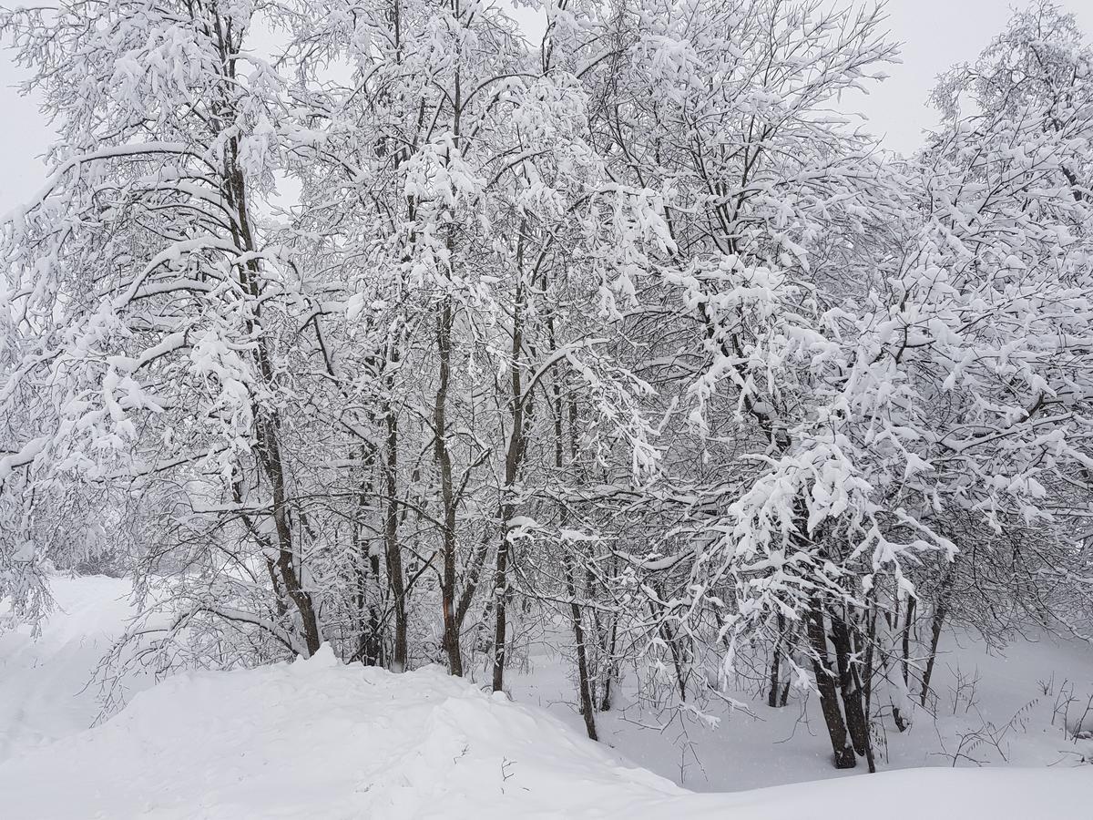 Aurora Villas Dilijan Eksteriør bilde