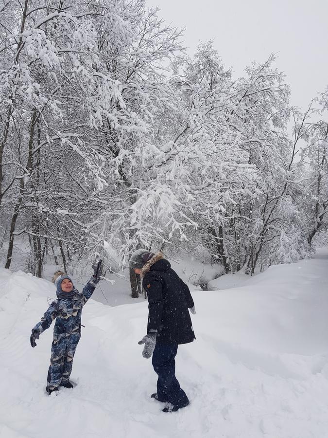 Aurora Villas Dilijan Eksteriør bilde